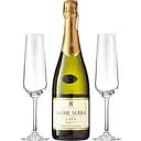 Вино игристое Jaume Serra Cava Brut, белое, брют, DO, 11,5%, 0,75 л + 2 бокала (29908)