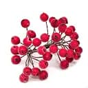 Декоративна Калина цукрова для творчості Bambi KC-20, 12 мм