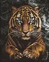 Алмазна мозаїка на підрамнику Дикий тигр Ideyka 40х50см AMO8348