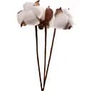 Гілка декоративна Yes! Fun Бавовна 30 см 3 шт. (974814)