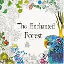 Раскраска антистресс Color-it The Enchanted Forest GDM-015, 12 листов