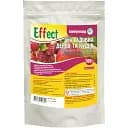 Біофунгіцид Effect для садових дерев і кущів 100 г