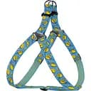 Шлея для собак BronzeDog Urban Fruits Лимоны M 45-56 см