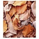 Зошит учнівський "Silence" 096-3358L-4 у лінію, 96 аркушів