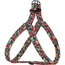 Шлея для собак BronzeDog Urban Art Витраж S 40-53 см