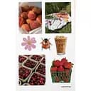 Стикерпак Cobart "Jun sun" виниловый