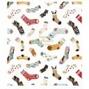 Зошит загальний Школярик Young Culture 080-3152K-4 в клітинку 80 аркушів