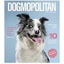 Тетрадь общая Pets magazine Школярик 036-3194K-5 в клетку 36 листов