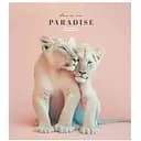 Тетрадь общая Love in paradise Школярик 036-3256L-5 в линию 36 листов