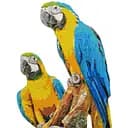 Алмазна мозаїка Brushme Папуги Ара 40х50 см DBS1049