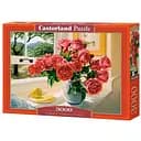 Пазл Castorland Літні спогади 3000 ел. (C-300631)