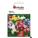 Насіння Садиба Центр Аквілегія Барлоу суміш 0.1 г (000005071)