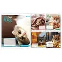 Зошити учнівські 18 аркушів лінія 1B Bliss, 25 шт. в упаковці