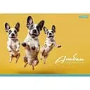 Альбом для малювання Школярик PB-GB-020-465-2 склейка 20 аркушів