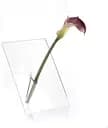 Ваза для квіточки Guzzini Icons, прозора (16970000)