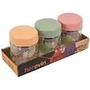 Набор для специй Herevin Decorated Spice Jar-Botanic 200 мл 3 шт. (131504-457)