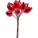 Ягоды декоративные Yes! Fun глянцевые 17 мм 9 шт./пучок красные (974148)