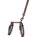 Шлея для кошек и собак мелких пород BronzeDog Urban Art Витраж с поводком XXS 15-23 см