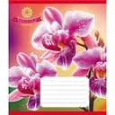 Тетрадь ученическая Орхидея 036-570137K-5 в клетку, 36 листов