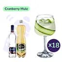 Коктейль Cranberry Mule (набор ингредиентов) х18 на основе Finlandia