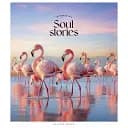 Зошит загальний Школярик Pastel palette 096-3329L-2 у лінію 96 аркушів