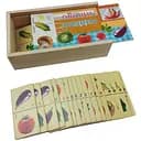 Деревянная игрушка Домино в пенале MD 2482 Овощи