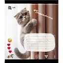 Зошит учнівський "Кішка" 024-550351K-1 в клітинку, 24 аркуші