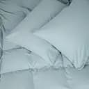 Комплект дитячої постільної білизни MirSon Фланель 006 Menthol 110х140 см м'ятний (2200009650147)