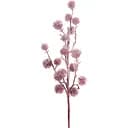 Гілка декоративна Yes! Fun Колючка засніжена 84 см пурпурна (974804)