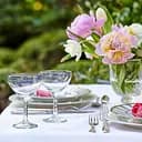 Набор бокалов для коктейлей TS Kitchen фигурных на высокой ножке 2 штуки по 290 мл синий HP546