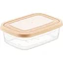 Контейнер для хранения продуктов Freshlife прямоугольный 0.6 л (D-424)