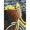 Картина за номерами ArtCraft Жовтий настрій 40x50 см (13112-AC)