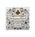 Раскраска антистресс "Enchanted Forest" COLOR-IT GDM-002, 12 листов