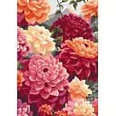 Картина за номерами ArtCraft Спекотне літо 40x50 см (13075-AC)