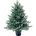 Ялинка Hvoya Traditional лита в горщику 90 см блакитна новинка