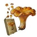 Деревянный пазл Лисички, А4, Картонная коробка 100 элементов