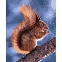 Картина за номерами Ideyka Маленька білочка 40х50 см KHO4205