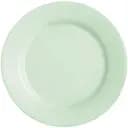 Тарелка Luminarc Plumi Paradise Green 24 см обеденная (V9218)