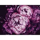 Картина за номерами Bambi Помпезні півонії 13131-NN 30х40 см
