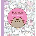 Мінірозмальовка Artbooks Pusheen