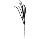 Гілочка декоративна Yes! Fun Очерет 99 см чорна (974314)