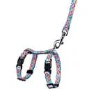 Шлея для кошек и собак мелких пород BronzeDog Urban Гуцульская с поводком XS 18-27 см синяя