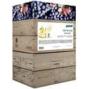 Вино столове Picnic Верт Блан напівсолодке біле 9-13% 10 л