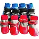 Шкарпетки Ginger для тварин M прогумовані на липучках для собак Мікс 7х5.5 см