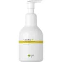 Пена для рук O'right Шикакай 650 мл