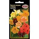 Насіння НК Еліт Красоля суміш Махрова 10 шт. у пачці (71547)