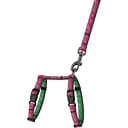 Шлея для кошек и собак мелких пород BronzeDog Urban Art Пит-стоп с поводком XS 18-27 см