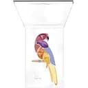 Набор для макияжа Pupa Beauty Kits Parrot Samba 14.8 r (8011607381999)