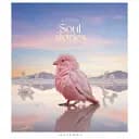 Зошит загальний Школярик Pastel palette 096-3329L-4 у лінію 96 аркушів