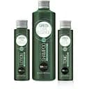 Набір для волосся BBcos Green Care Essence Man: шампунь 250 мл + лосьйон 100 мл + тонік 100 мл